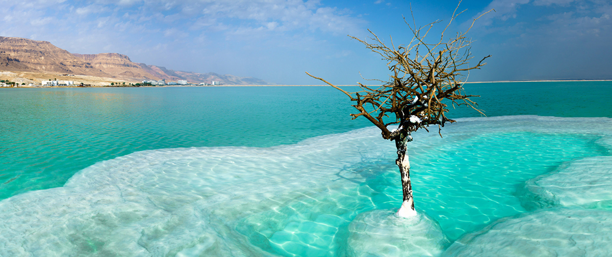 Mer-Morte